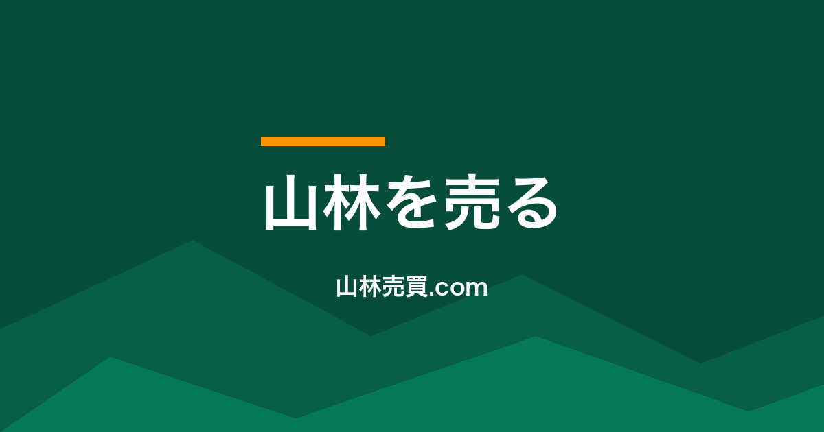 【2025年実査】山林相場の真実｜1坪30円の現実