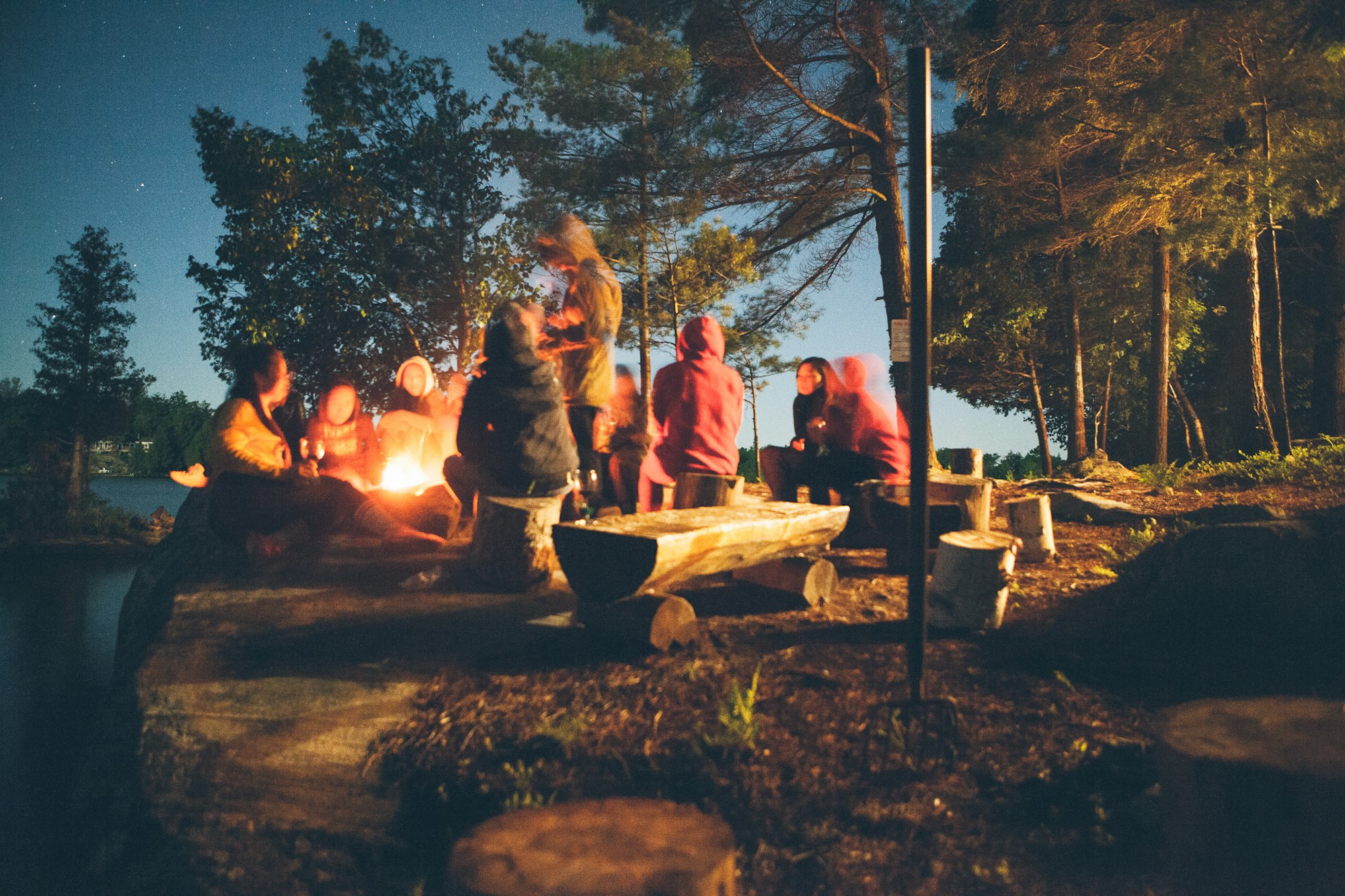 Forest Camping