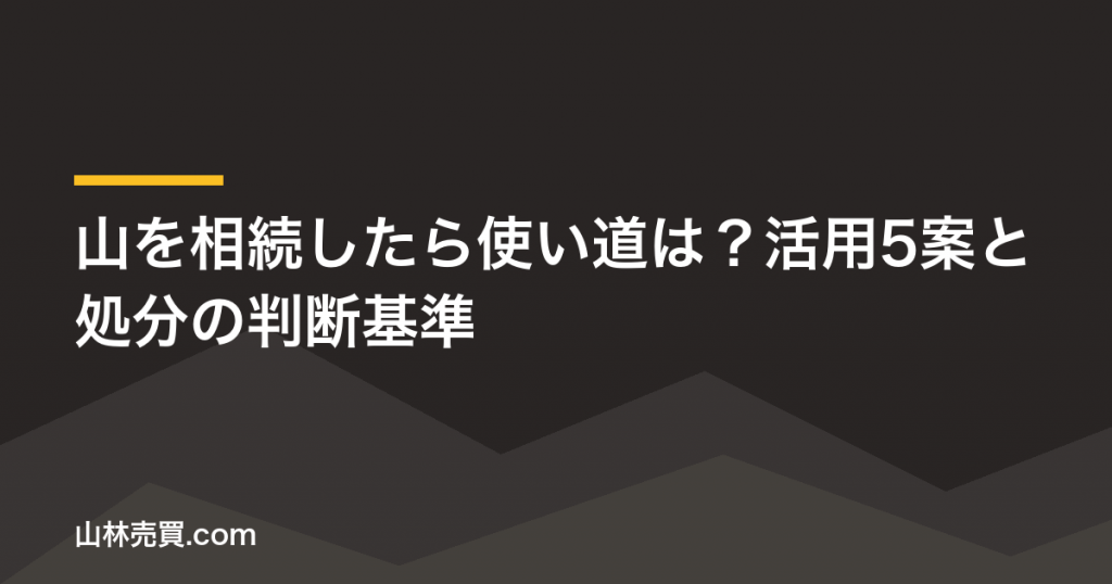 【2026年】山を相続したら使い道は？活用5案と処分の判断基準