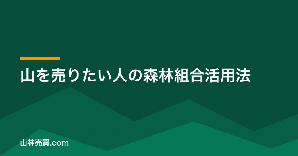【2026年】山を売りたい人の森林組合活用法｜800万円控除と税金対策